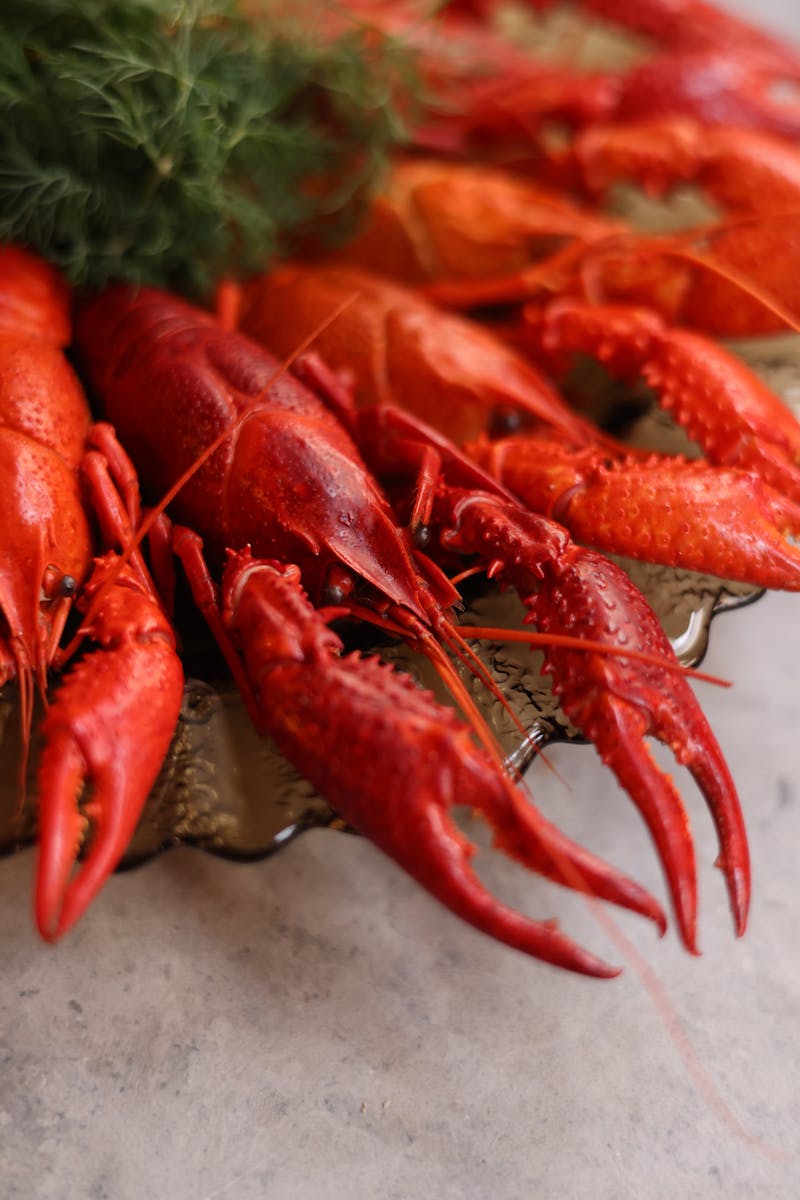 Crayfish Meal on the Serving Dish